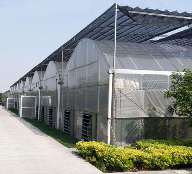 Greenhouse